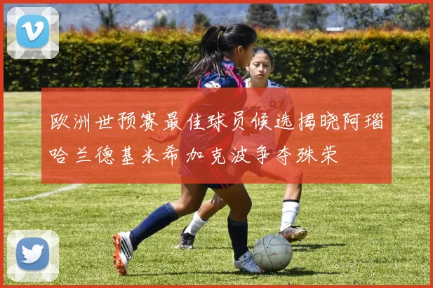 欧洲世预赛最佳球员候选揭晓阿瑙哈兰德基米希加克波争夺殊荣