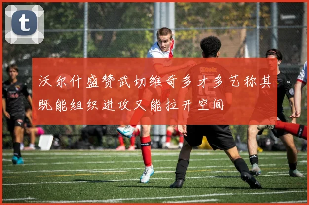 沃尔什盛赞武切维奇多才多艺称其既能组织进攻又能拉开空间