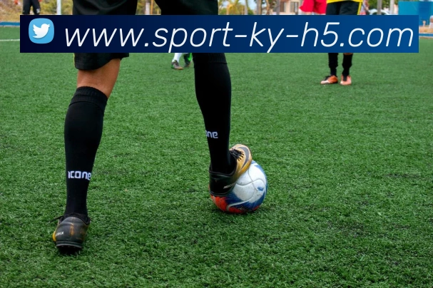 App Interface Preview