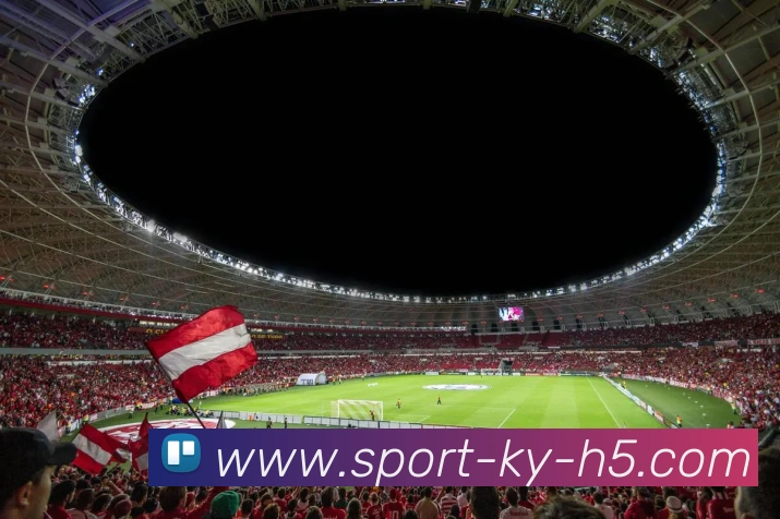 开云体育APP 封面图